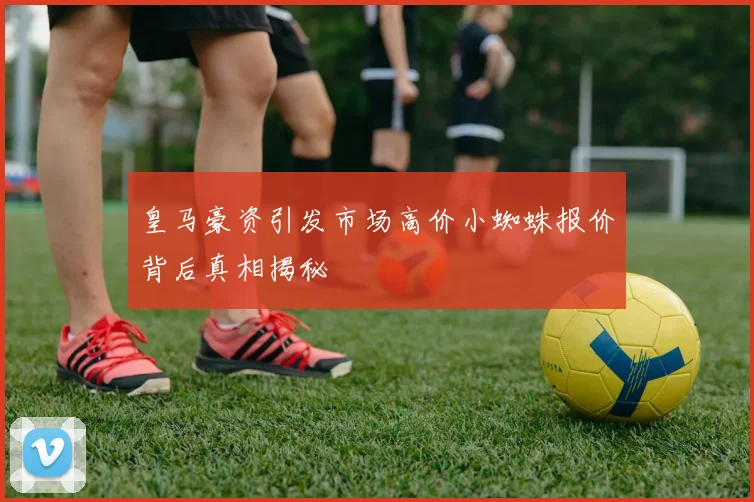 皇马豪资引发市场高价小蜘蛛报价背后真相揭秘
