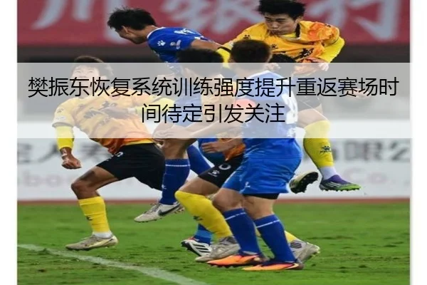 樊振东恢复系统训练强度提升重返赛场时间待定引发关注